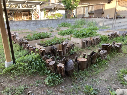 春のレイズドベッド風景20260509-3.JPG