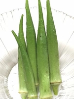 気になる食材-2(丸オクラ)
