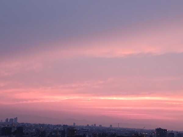 20250608_185822.jpg