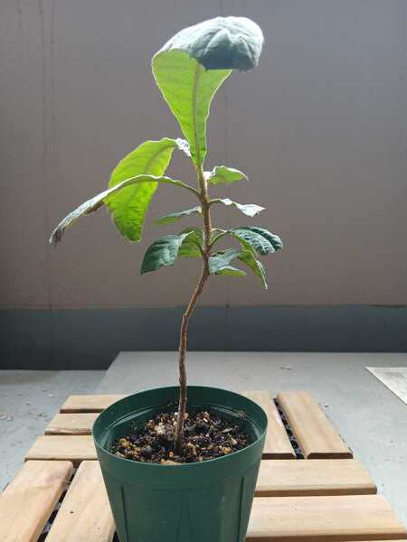 1000001302.jpg