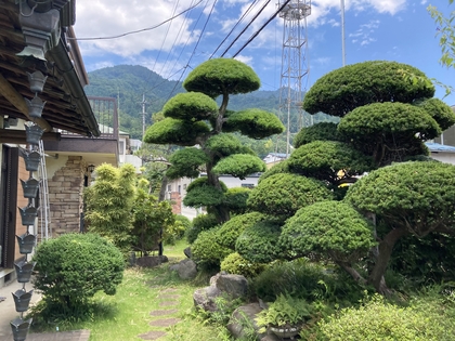 自宅の日本庭園－２.JPG