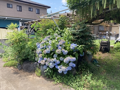 s_IMG_3494.JPG