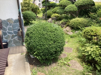 s_IMG_3525.JPG