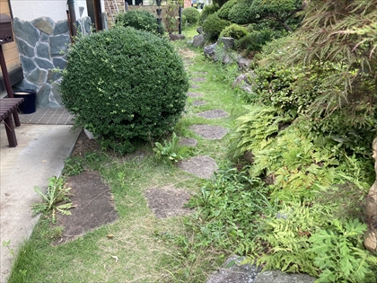 s_IMG_3880.JPG