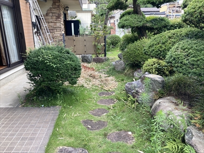 s_IMG_3882.JPG