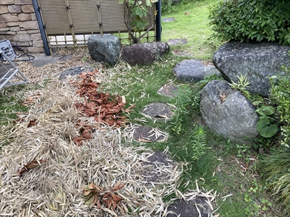 s_IMG_3885.JPG
