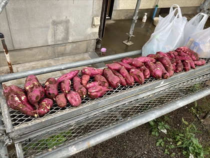 s_IMG_5328.JPG