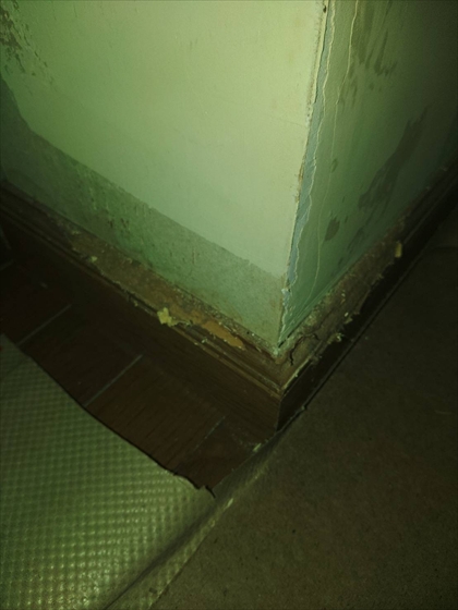 s_IMG_5397.JPG