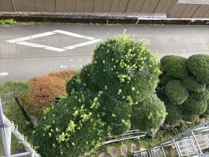 s_IMG_5446.JPG