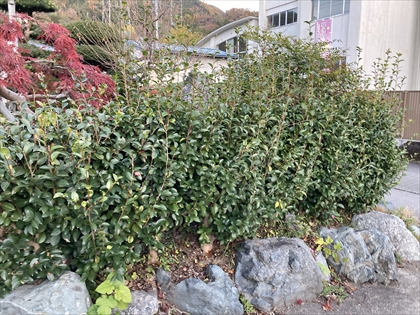 s_IMG_5880.JPG