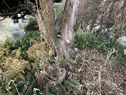 s_IMG_7154.JPG
