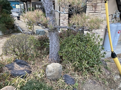 s_IMG_7555.JPG