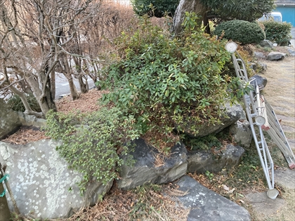 s_IMG_7561.JPG