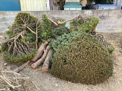 s_IMG_8054.JPG