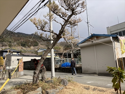 s_IMG_8436.JPG