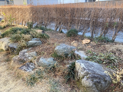 s_IMG_8539.JPG