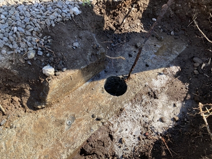 s_IMG_8602.JPG