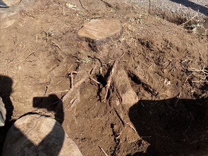s_IMG_8611.JPG