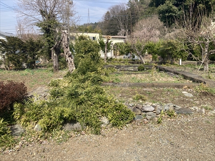 s_IMG_9269.JPG