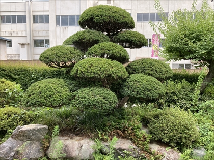 s_キャラボク_IMG_3887.JPG
