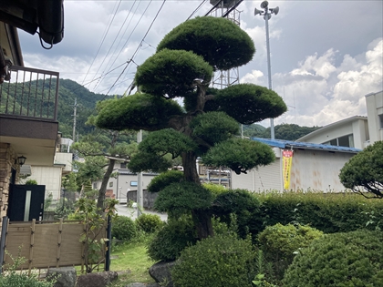 s_マキ_IMG_4011.JPG