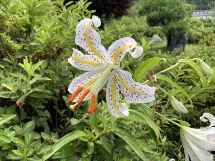 s_IMG_3244.JPG