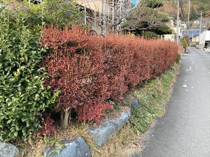 s_IMG_5883.JPG