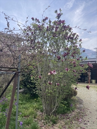 s_IMG_9721.JPG