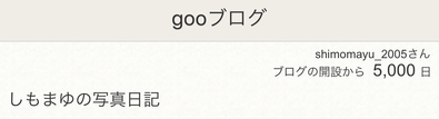 ブログ開設5000日.jpg