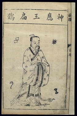 syokui.jpg