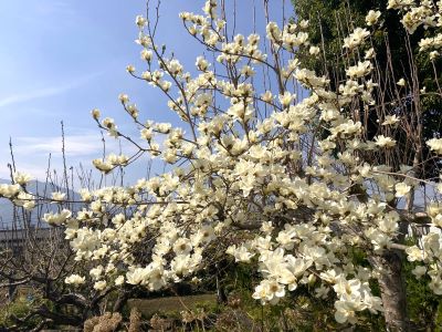 IMG_9248 - コピー.JPG