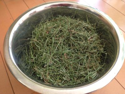 スギナ茶2.jpg