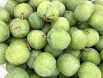早摘みソルダムのコンポート