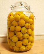 梅の焼酎漬け