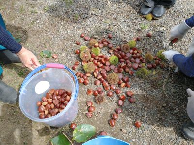 2025-09-18 059 - コピー.jpg