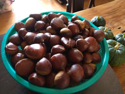 2025-09-24 006 - コピー.jpg