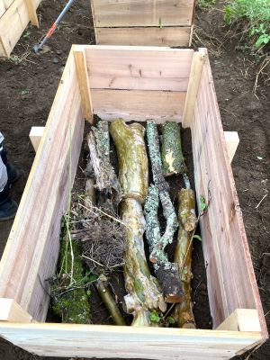 IMG_7577 - コピー.JPG