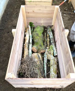 IMG_7578 - コピー.JPG