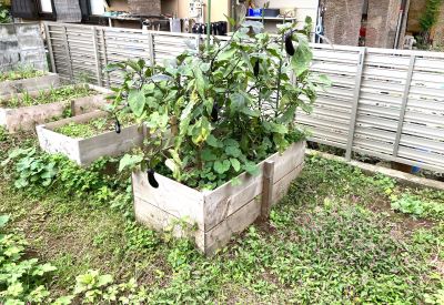 IMG_7808 - 1016コピー.JPG