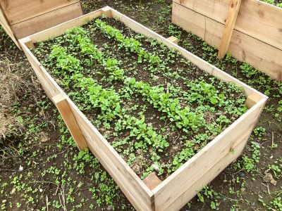 IMG_8049 - コピー.JPG