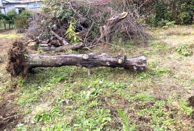 IMG_8161 - コピー.JPG