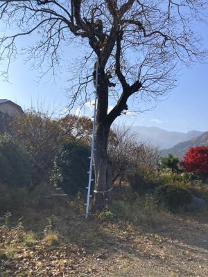 ②IMG_8197 - コピー.JPG