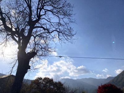 ③IMG_8205 - コピー.JPG