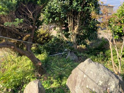 ④IMG_8214 - コピー.JPG