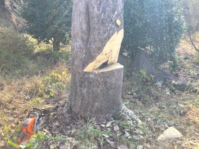 ⑤IMG_8210 - コピー.JPG