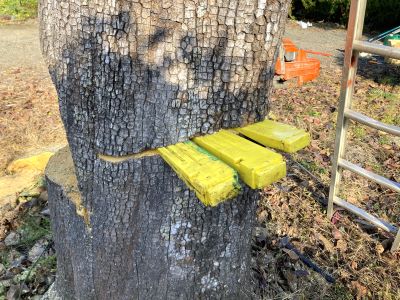 ⑥IMG_8224 - コピー.JPG