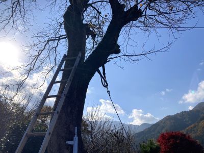 ⑦IMG_8231 - コピー.JPG