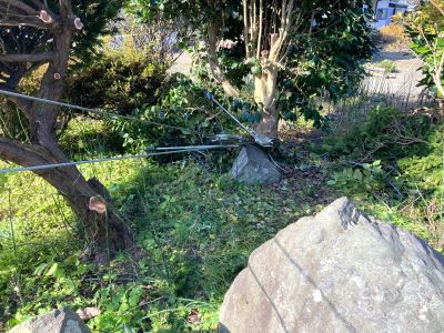 ⑧IMG_8232 - コピー.JPG