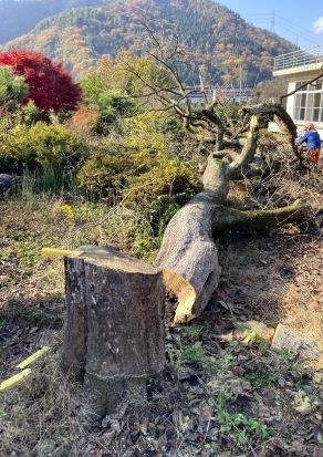 ⑩IMG_8246 - コピー.JPG