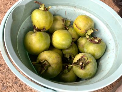 2025-09-18 - コピー.JPG